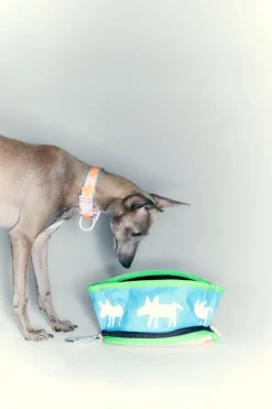 Mujer BIMBA Y LOLA Accesorios Para Perros<Bebedero Mascota Logo Lola Azul